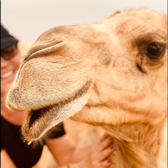 Fashionista with Style - Picture 7 of 8